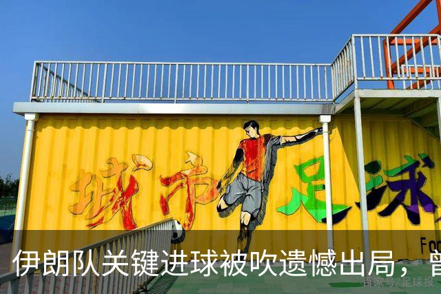 伊朗队关键进球被吹遗憾出局，曾任教哈佛大学的伊朗学者向FIFA索赔10亿美元